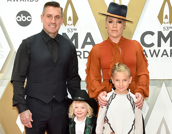 Image result for pink family cma awards